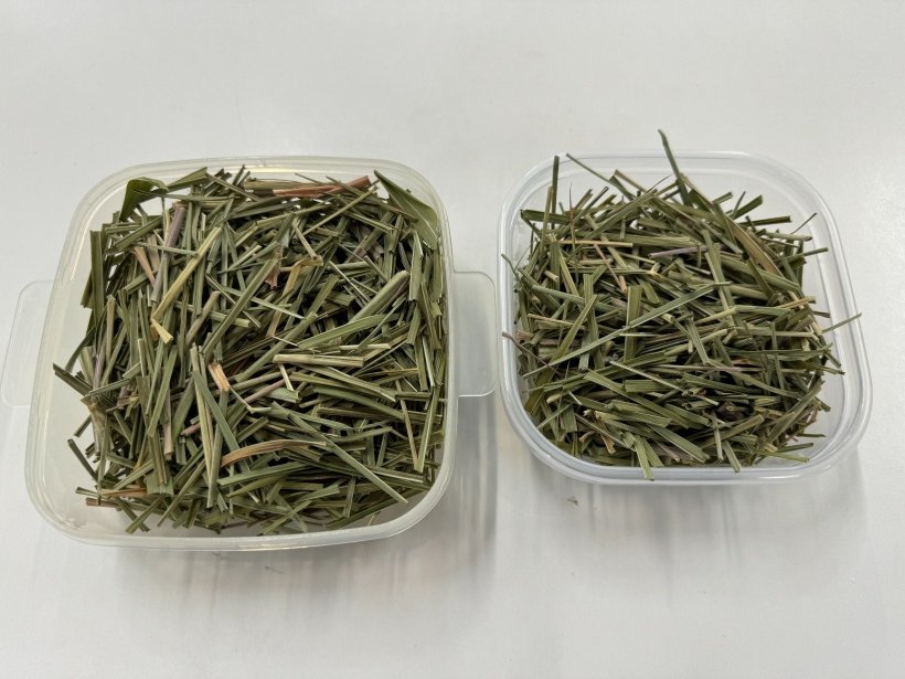 2つのケースに入った乾燥後のレモングラス